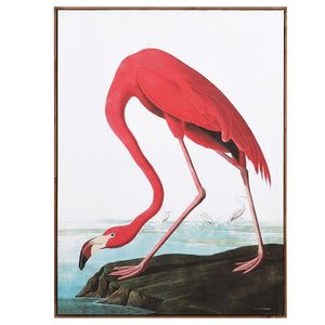 Flamingo Canvas