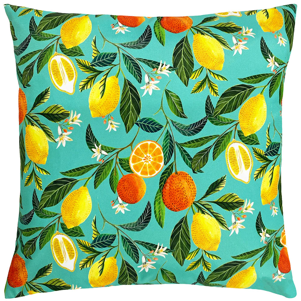 Lemon throws and clearance cushions