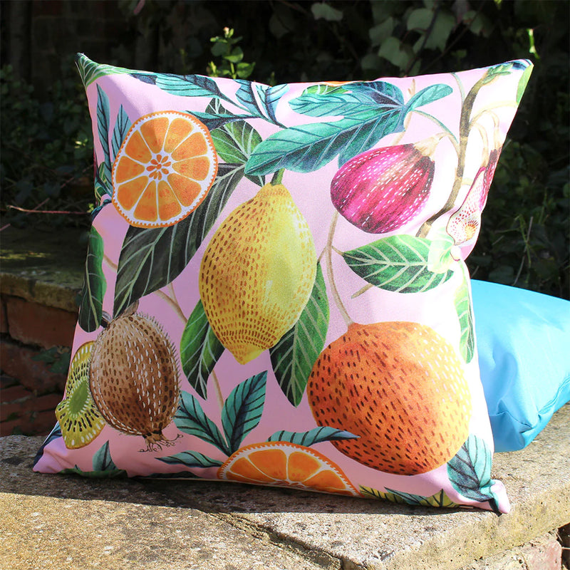 Fruit cushion sales