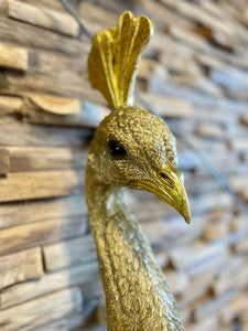 Gold Peacock 🦚