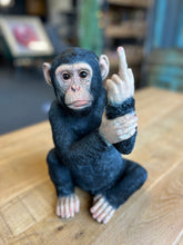 Up Yours Monkey!