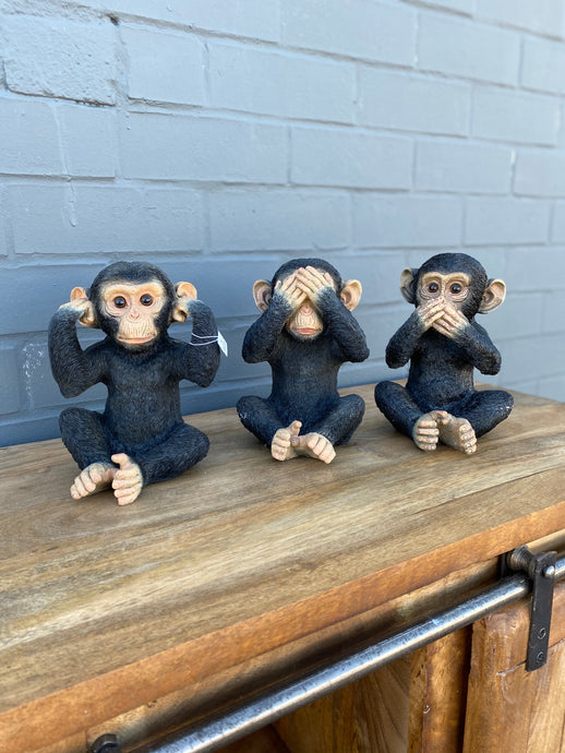 3 Wise Monkeys 🙈🙉🙊