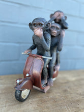 Monkeys on Scooter 🛵