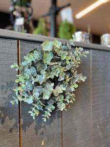 Eucalyptus Wreath - Medium