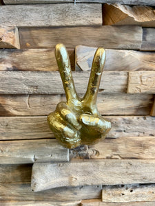 Peace Hand ✌🏼