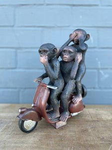 Monkeys on Scooter 🛵
