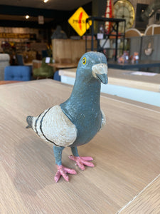 Pedro the Pigeon 🐦